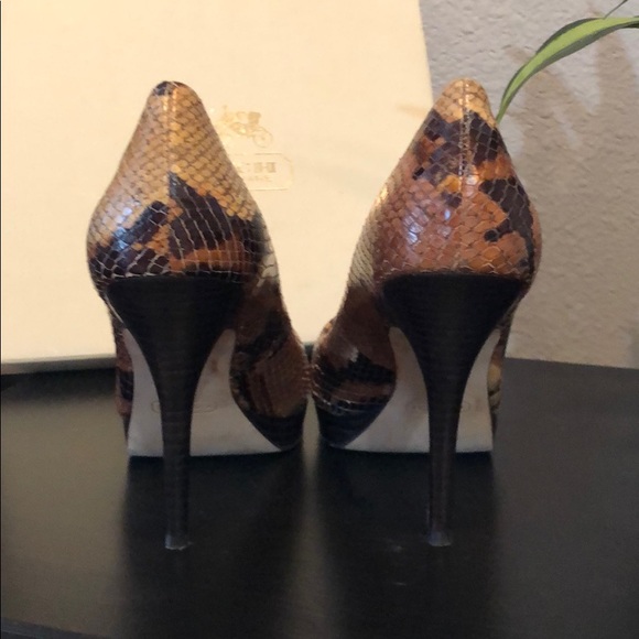 Coach Snake Print Heels - Picture 3 of 6